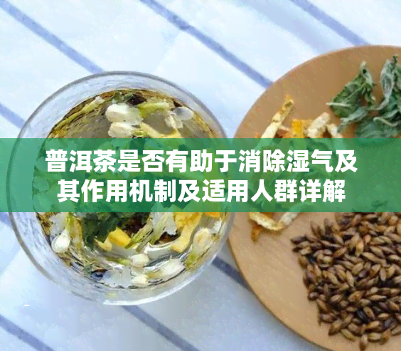 普洱茶是否有助于消除湿气及其作用机制及适用人群详解