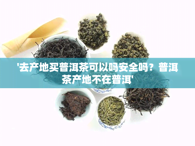 '去产地买普洱茶可以吗安全吗？普洱茶产地不在普洱'