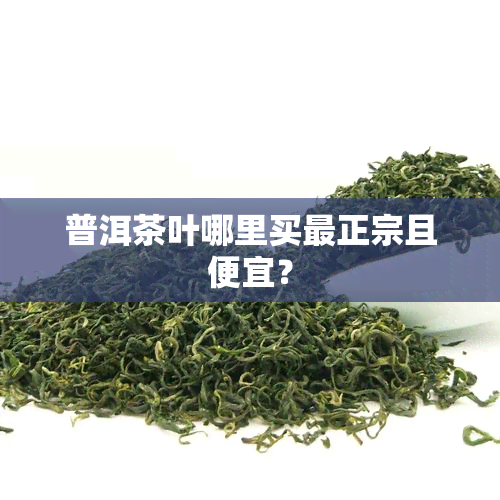 普洱茶叶哪里买最正宗且便宜？