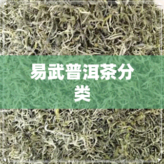 易武普洱茶分类