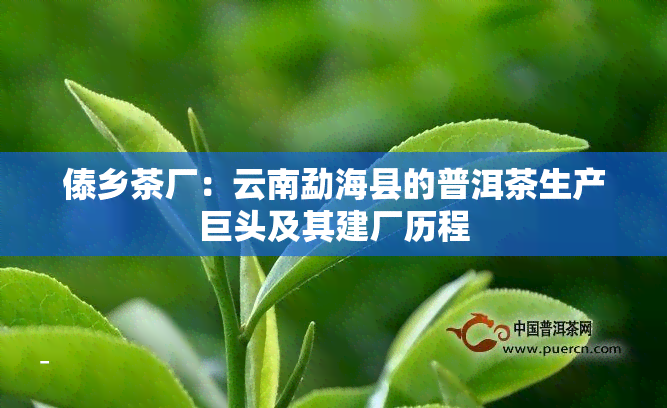 傣乡茶厂：云南勐海县的普洱茶生产巨头及其建厂历程