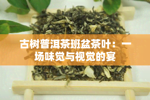 古树普洱茶班盆茶叶：一场味觉与视觉的宴