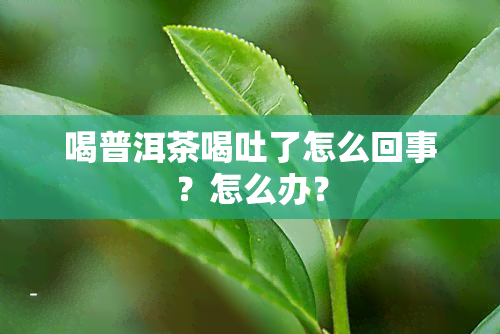 喝普洱茶喝吐了怎么回事？怎么办？