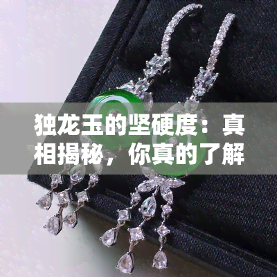 独龙玉的坚硬度：真相揭秘，你真的了解吗？