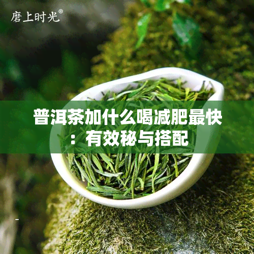 普洱茶加什么喝减肥最快：有效秘与搭配