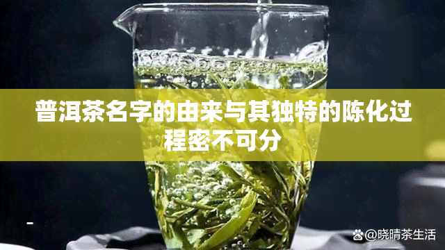 普洱茶名字的由来与其独特的陈化过程密不可分