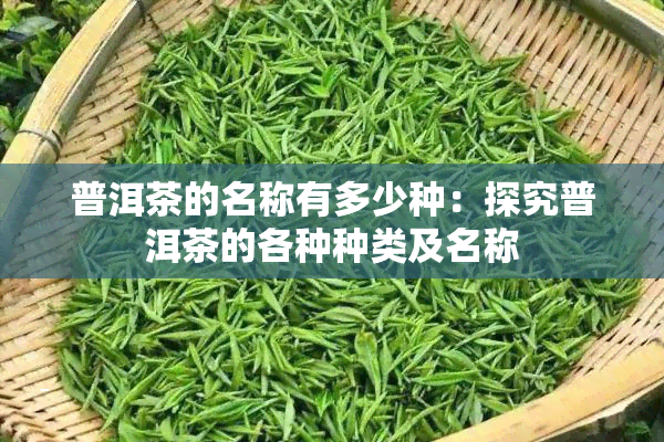 普洱茶的名称有多少种：探究普洱茶的各种种类及名称