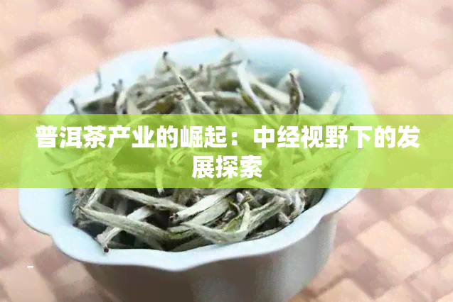 普洱茶产业的崛起：中经视野下的发展探索