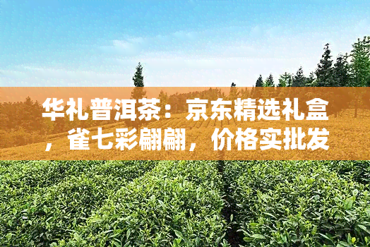 华礼普洱茶：京东精选礼盒，雀七彩翩翩，价格实批发，品质越