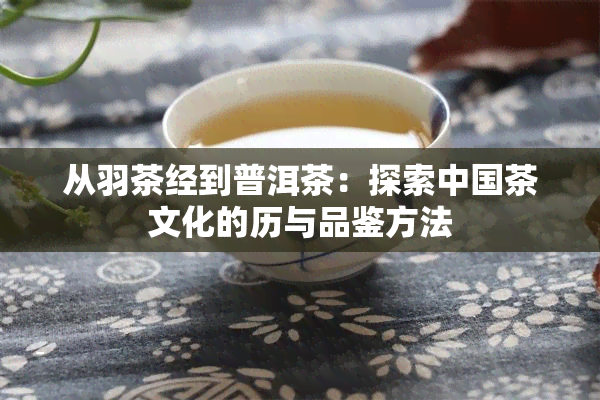 从羽茶经到普洱茶：探索中国茶文化的历与品鉴方法