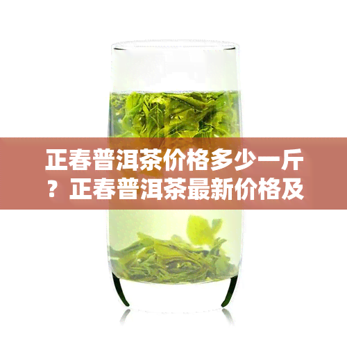 正春普洱茶价格多少一斤？正春普洱茶最新价格及解析。