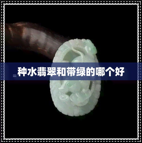 种水翡翠和带绿的哪个好