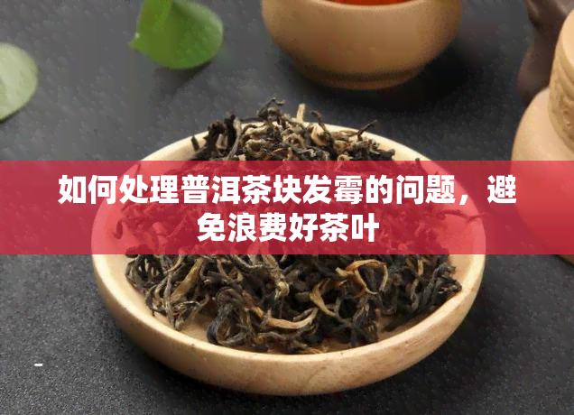 如何处理普洱茶块发霉的问题，避免浪费好茶叶