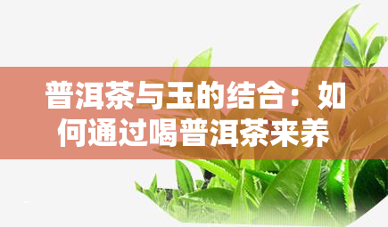 普洱茶与玉的结合：如何通过喝普洱茶来养护和提升玉器的魅力？