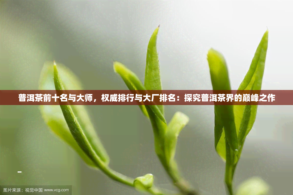 普洱茶前十名与大师，权威排行与大厂排名：探究普洱茶界的巅峰之作