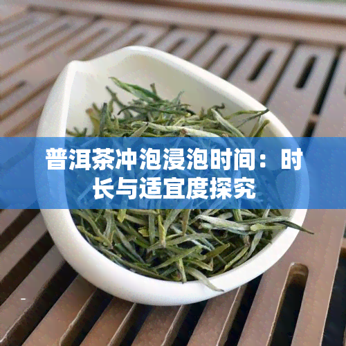 普洱茶冲泡浸泡时间：时长与适宜度探究