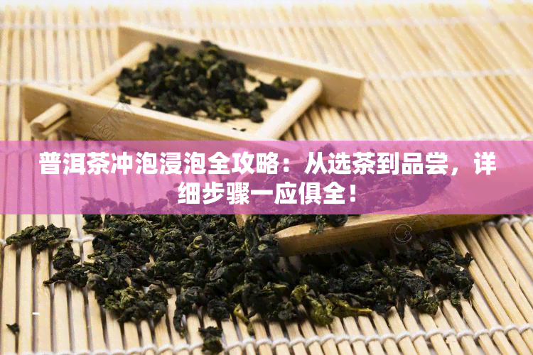 普洱茶冲泡浸泡全攻略：从选茶到品尝，详细步骤一应俱全！