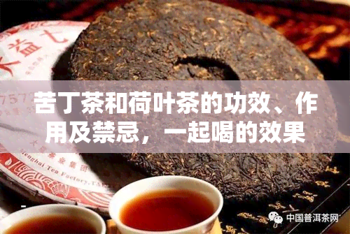 苦丁茶和荷叶茶的功效、作用及禁忌，一起喝的效果如何？