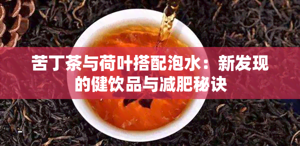 苦丁茶与荷叶搭配泡水：新发现的健饮品与减肥秘诀