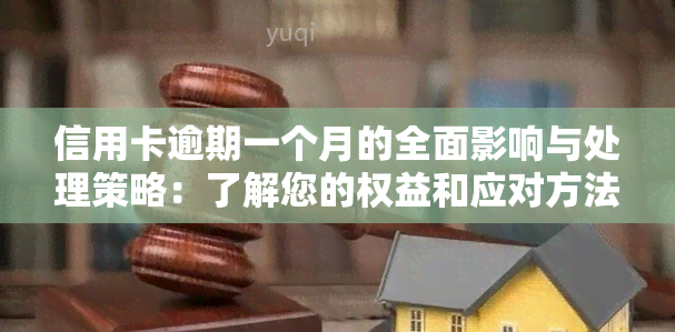 信用卡逾期一个月的全面影响与处理策略：了解您的权益和应对方法