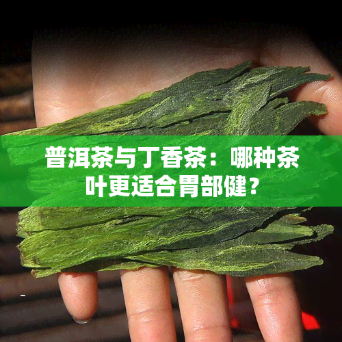 普洱茶与丁香茶：哪种茶叶更适合胃部健？