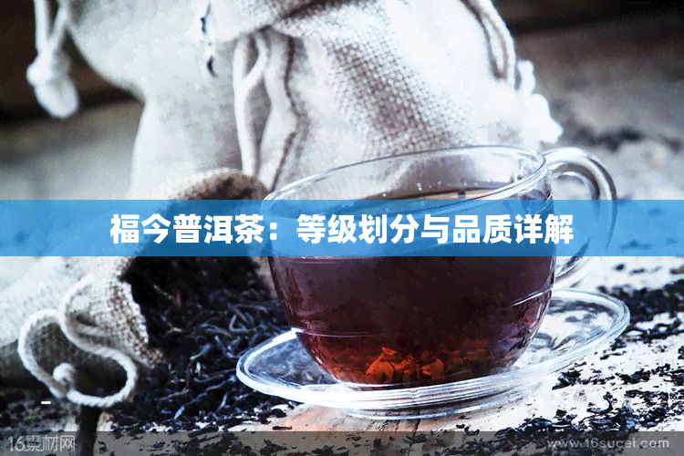 福今普洱茶：等级划分与品质详解