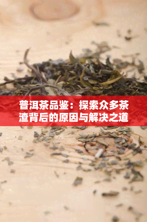 普洱茶品鉴：探索众多茶渣背后的原因与解决之道