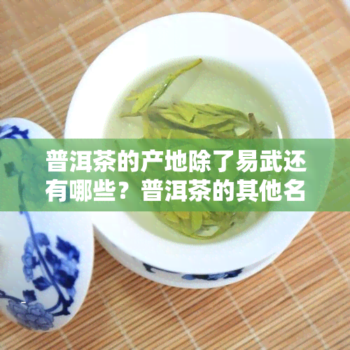 普洱茶的产地除了易武还有哪些？普洱茶的其他名优产区及特点解析