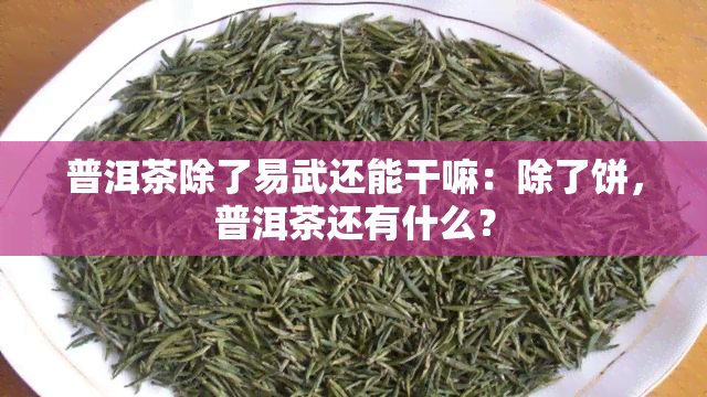 普洱茶除了易武还能干嘛：除了饼，普洱茶还有什么？