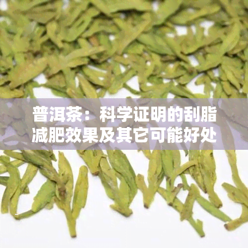 普洱茶：科学证明的刮脂减肥效果及其它可能好处解析