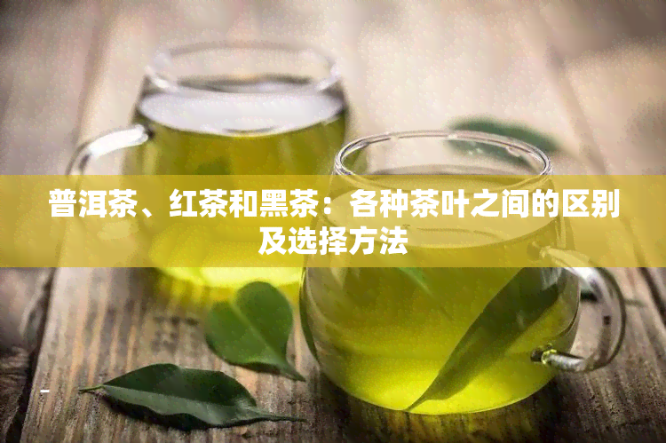 普洱茶、红茶和黑茶：各种茶叶之间的区别及选择方法