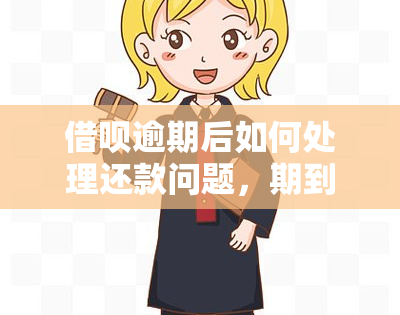 借呗逾期后如何处理还款问题，期到期还一半是否可行？