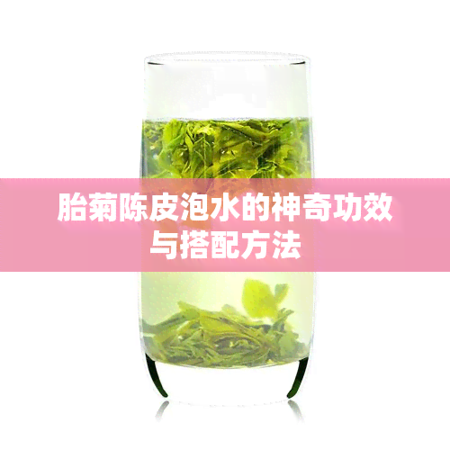 胎菊陈皮泡水的神奇功效与搭配方法