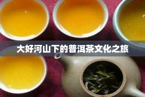 大好河山下的普洱茶文化之旅