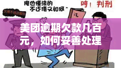 美团逾期欠款几百元，如何妥善处理避免被起诉？