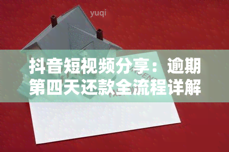 抖音短视频分享：逾期第四天还款全流程详解，让你轻松处理借款问题