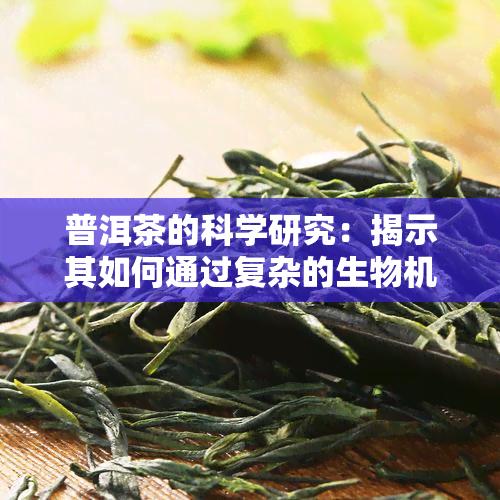 普洱茶的科学研究：揭示其如何通过复杂的生物机制助消化并优化健