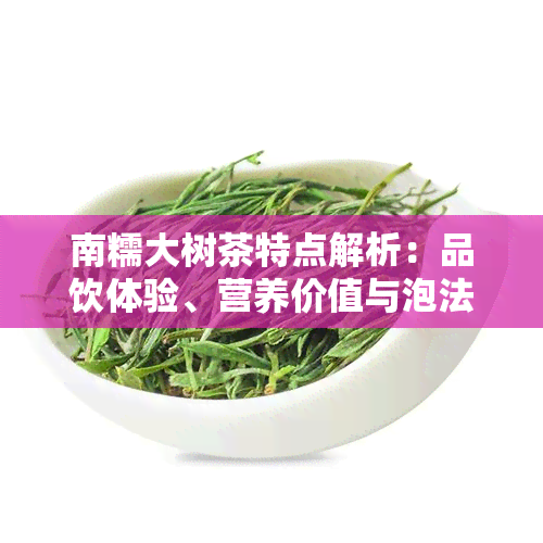 南糯大树茶特点解析：品饮体验、营养价值与泡法技巧一网打尽