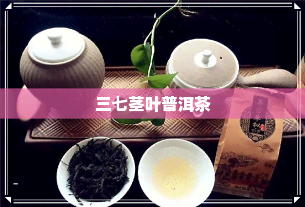 三七茎叶普洱茶