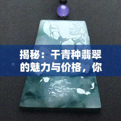 揭秘：干青种翡翠的魅力与价格，你真的了解吗？