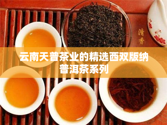 云南天普茶业的精选西双版纳普洱茶系列