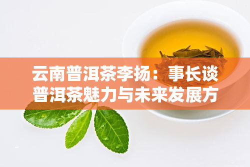 云南普洱茶李扬：事长谈普洱茶魅力与未来发展方向
