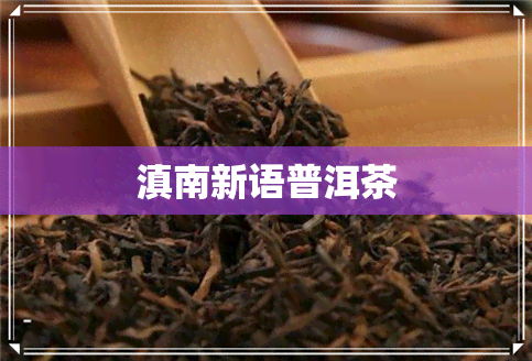 滇南新语普洱茶