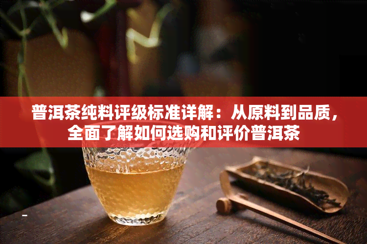 普洱茶纯料评级标准详解：从原料到品质，全面了解如何选购和评价普洱茶