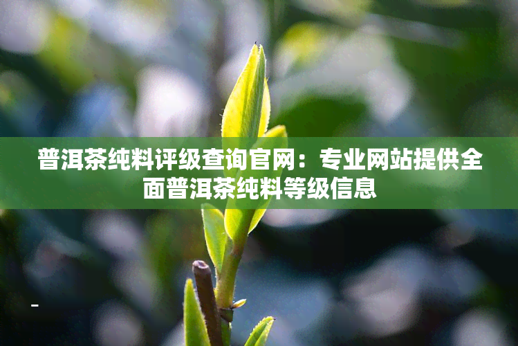 普洱茶纯料评级查询官网：专业网站提供全面普洱茶纯料等级信息