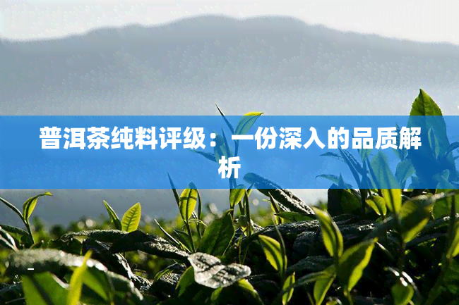 普洱茶纯料评级：一份深入的品质解析