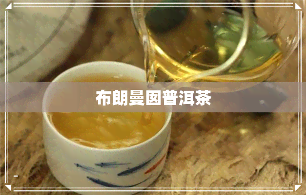 布朗曼囡普洱茶