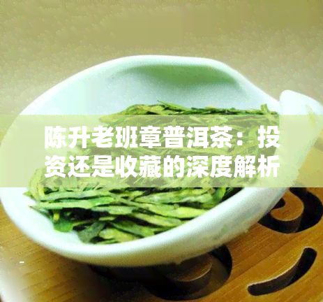 陈升老班章普洱茶：投资还是收藏的深度解析