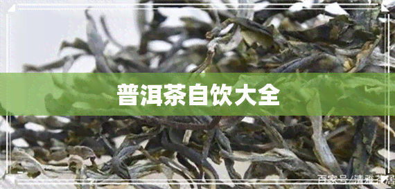 普洱茶自饮大全