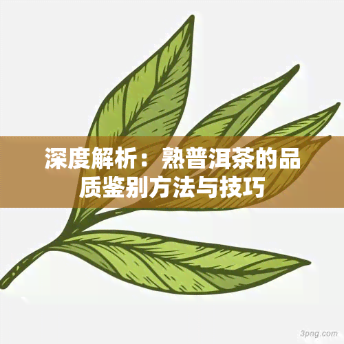 深度解析：熟普洱茶的品质鉴别方法与技巧